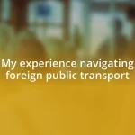 My experience navigating foreign public transport