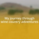 My journey through wine country adventures