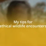 My tips for ethical wildlife encounters