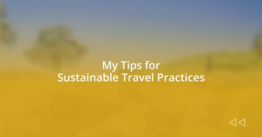 My Tips for Sustainable Travel Practices