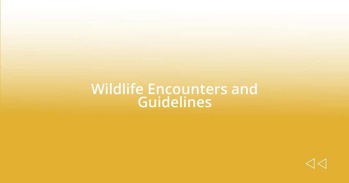 Wildlife Encounters and Guidelines