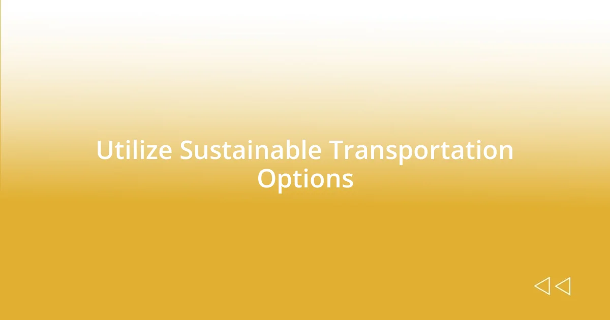 Utilize Sustainable Transportation Options